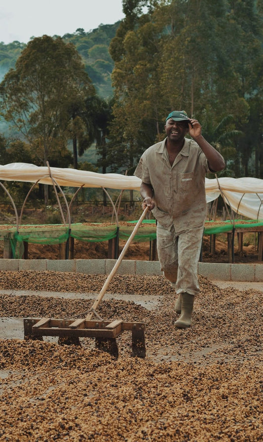 Cremora Espresso Bled